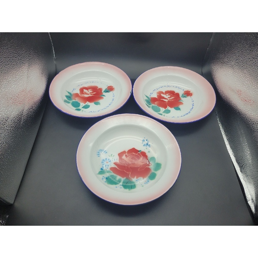 Vintage peacock brand Chinese enamelware airbrushed Rose 9.5" bowl